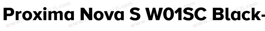 Proxima Nova S W01SC Black字体转换